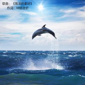 海洋的美好