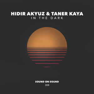 In The Dark (Original Mix)