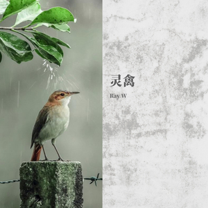 灵禽