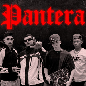 Pantera