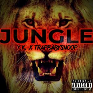 JUNGLE (feat. Trapbabysnoop)