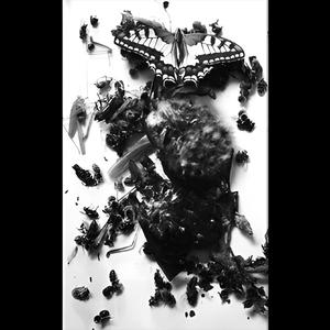 A Silent Night In A Silent Castle