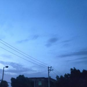 夜与你