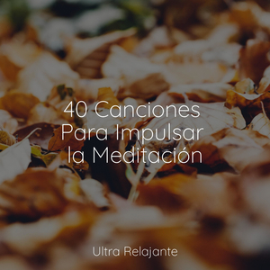 Estados De Ánimo Del Cielo