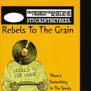 Vinyl (Let the Record Spin)