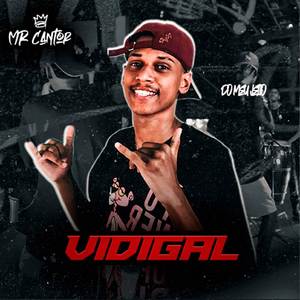 Vidigal