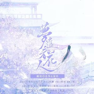 梦遣看花人（cover：HITA/玉璇玑）