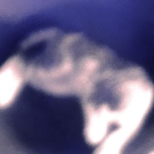 孤独不会变成泪水