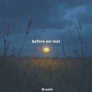 before we met