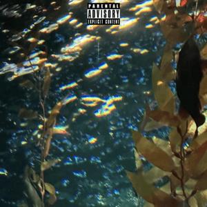 mucus (feat. guap guru, boolymon & snakechildpain)