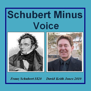 Wiegenlied D498 (Instrumental or Backing)