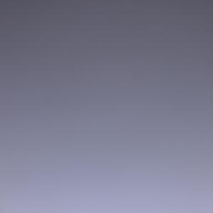 Ruger Rells 2020 Diss