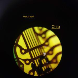 Chip