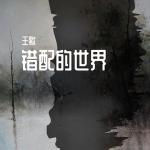 错配的世界伴奏