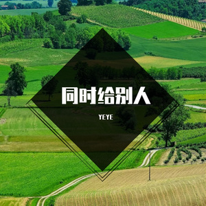 泵衬备