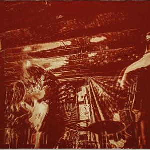 Marco Rubio Kicked My Dog