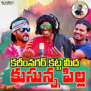 Karimnagar Kattamida Kusuna Pilla