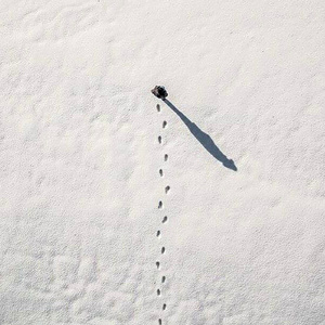 Тысяча следов