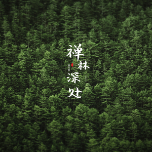 波罗蜜歌（箜篌曲养心）