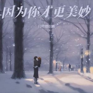 因为你才更美妙