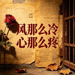 风那么冷心那么疼（谁能抚平我这种苦衷）