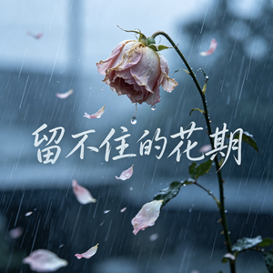 留不住的花期.wav