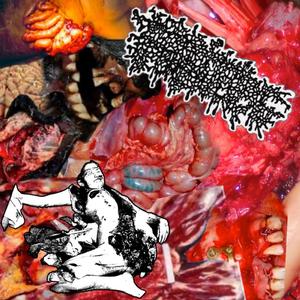 Bowel Bursting Mukopurulence