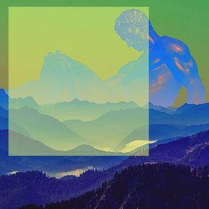 Cellular Fliers
