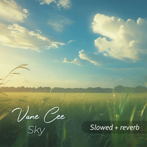 Sky (Slowed + Reverb) (Freestyle)