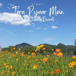 Tere Pyaar Mein (Slowed+Reverb)