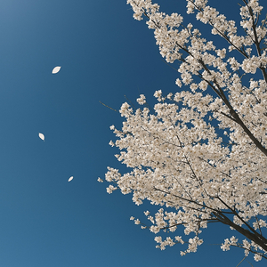 잊혀지지 않아서