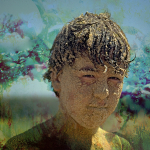 Querela das Vizinhas