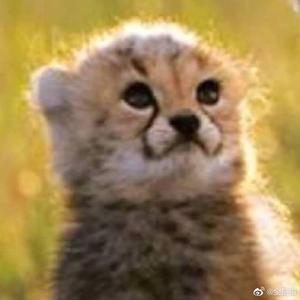 牛马的梦境（PROD BY FaunmU&Charon）