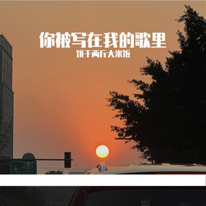 你被写在我的歌里