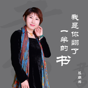 我是你翻了一半的书