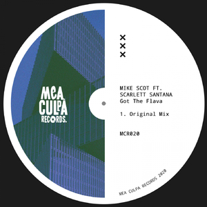 Got The Flava (Original Mix)