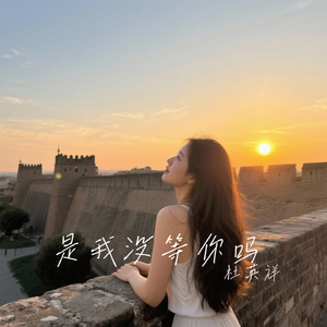 是我没等你吗