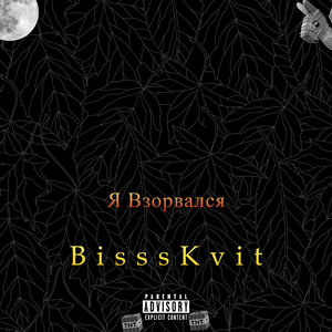 Я взорвался