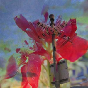 Everything Is Nothing