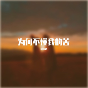 为何不懂我的苦