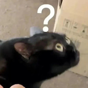 紅牌发起决斗1.0