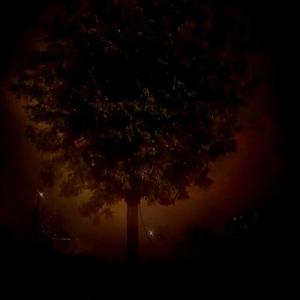 欲 . 望 . 树（prod by siren）（demo）