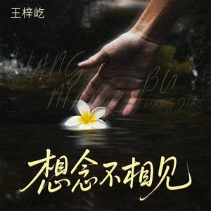 想念不相见
