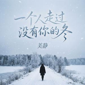 一个人走过没有你的冬
