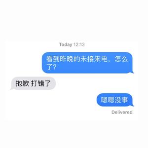 Doggie-未接来电1.0（TansyStar星星 remix）