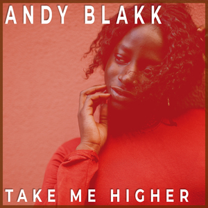 Take Me Higher (Bassapella)