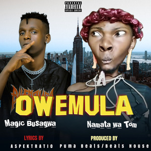 Owemula