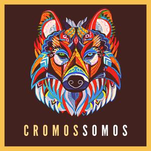 Cromossomos