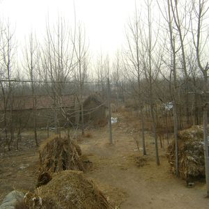 吉他指弹 最美的歌儿唱给妈妈 （吉祥阁音乐 remix）