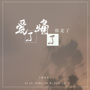 爱了痛了你走了 (DJ默涵版)